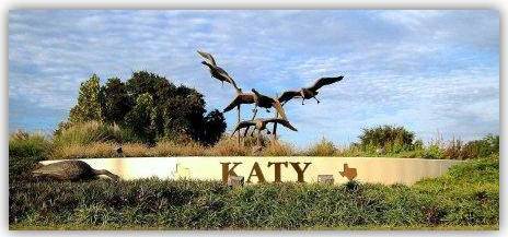 Pest Control Katy