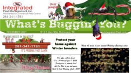 Dec 2021 Newsletter, pest-proofing for winter