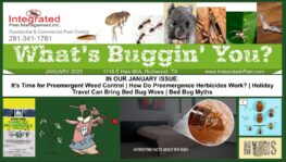 January 2022 Newsletter-Pre-emergent weed Killer | Bed Bugs